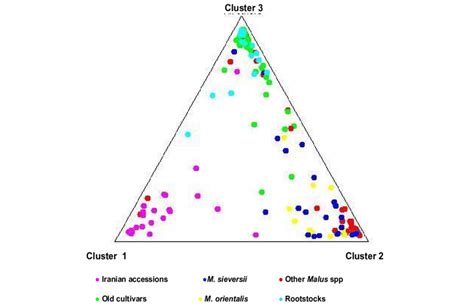 Image result for Triangular Plot Murray