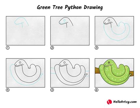 Image result for Drawing of Python Kid