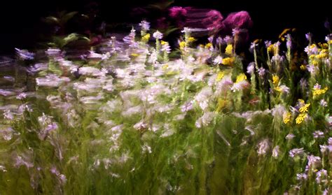 Toradh íomhá ar The Art of Algorithm Design