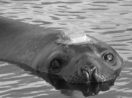 Afbeeldingsresultaten voor AWT API Icon