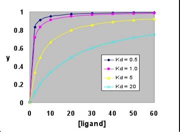 Binding Curve に対する画像結果