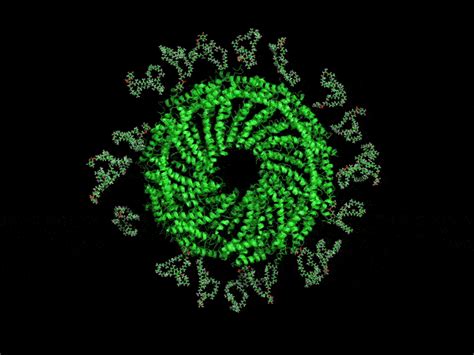 Image result for Growing Virus GIF