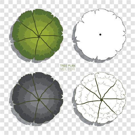 Image result for TreePlan Abstract