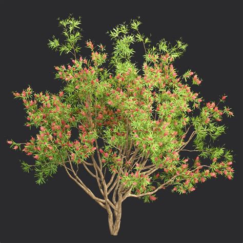 Image result for Blender 4 3 Bush Asset