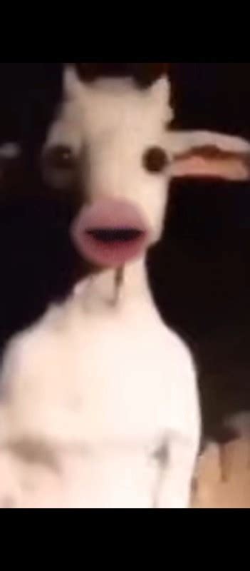 Image result for Goat Simulator Scary