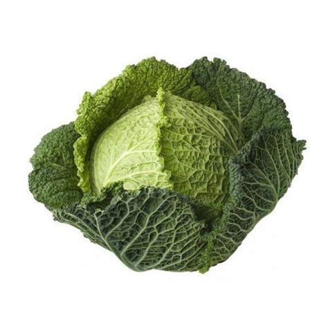 Image result for Dry Cabbage