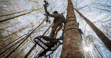 Afbeeldingsresultaten voor Best Climbing Sticks