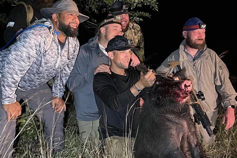 Toradh íomhá ar Python Hunting Pig