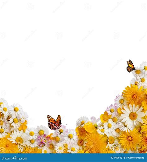 Spring Flower Border に対する画像結果