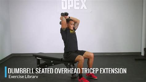 Image result for Seated Overhead Extension