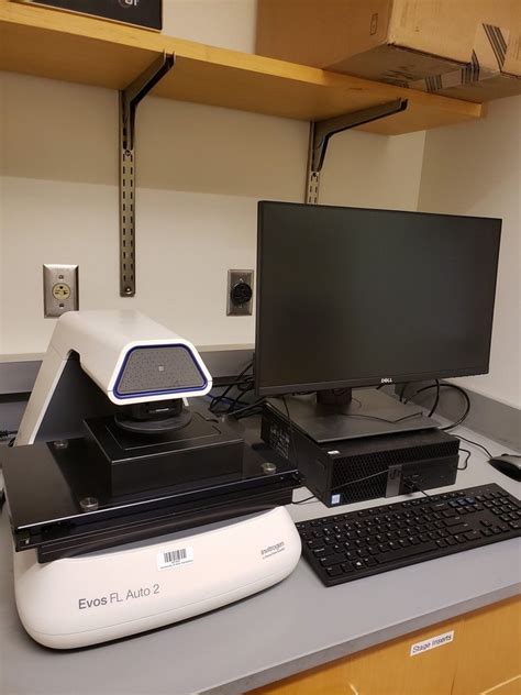 Evos Inverted Microscope に対する画像結果