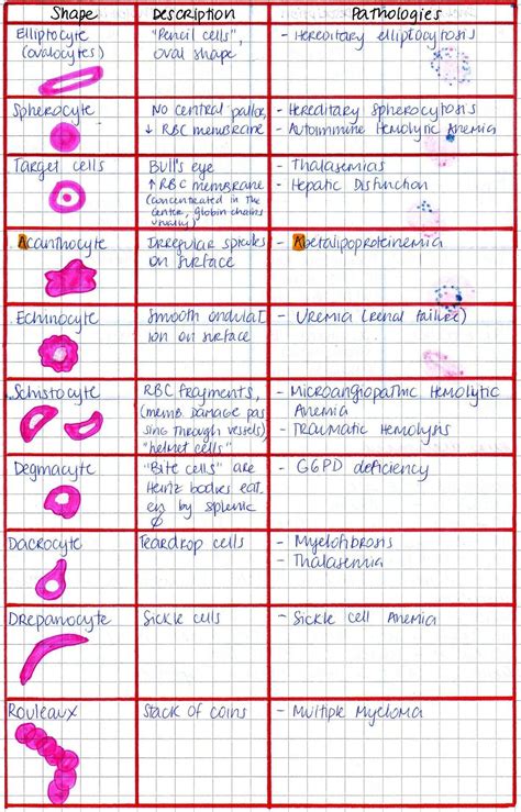Intussusception Lab Work Up에 대한 이미지 결과