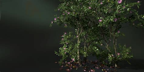 Afbeeldingsresultaten voor SpeedTree Export Tree without Textures