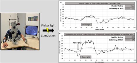Dva Analysis に対する画像結果