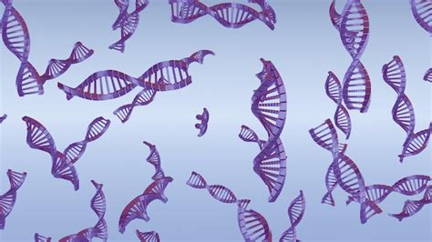 Image result for Quantum DNA Evolution