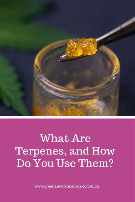 Bildergebnis für How to Add Terpenes to Water