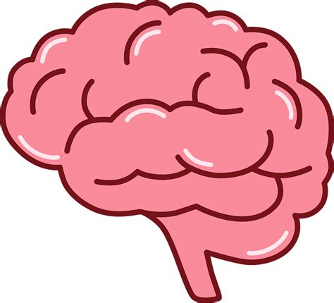 Cartoon Brain Development PNG に対する画像結果