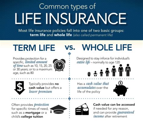 Image result for Full Life Insurance