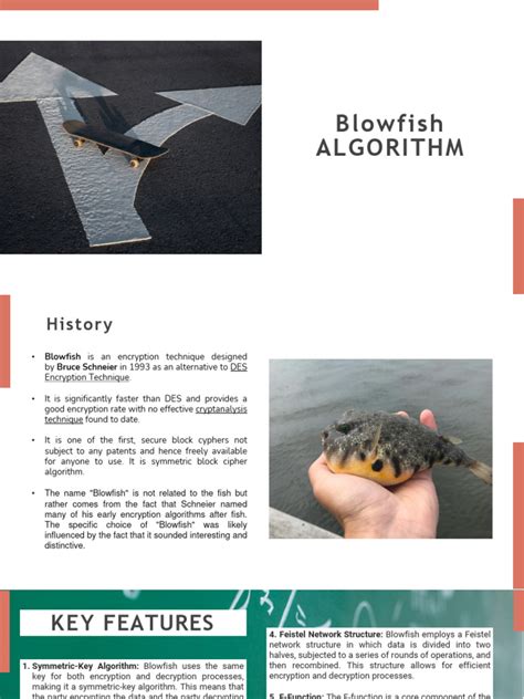 Image result for Blowfish Algorithm