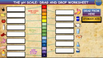 BrainPOP pH Scale Answer Key に対する画像結果