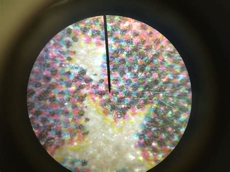 Image result for Microscope Side of Paper