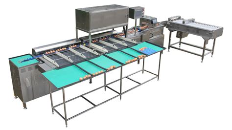 Image result for Egg Sorting Machine Design