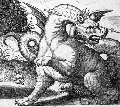 Image result for Was Python a Dragon