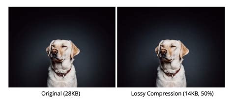 Image result for Example of Lossy Compression