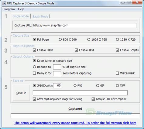 Image result for URL Capture