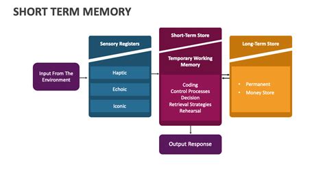 Types of Short-Term Memory に対する画像結果