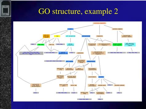 Image result for Structure of Go Program