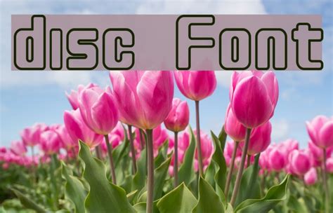 LP Disc Font に対する画像結果