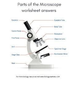 Image result for Parts and Function of Microscope Worksheet