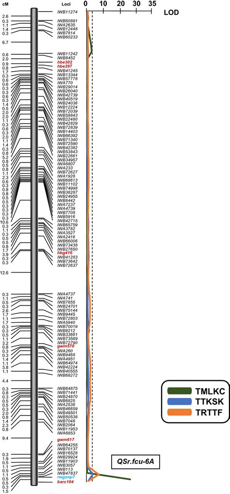 Image result for Simple Genetic Map