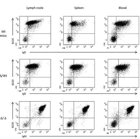 Image result for Lymphoma Flow Cytometry Panel