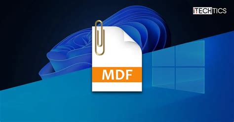 Toradh íomhá ar How to Open MDF File in Access