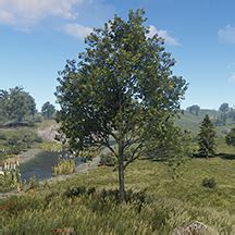 Image result for Rust Game Tree-Cutting Sound