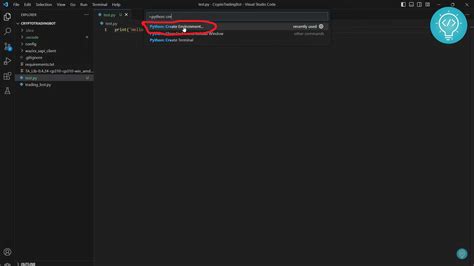 Python Interpreter for vs Code Extension 的图像结果