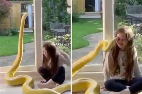 Image result for Fail Magazine Logo