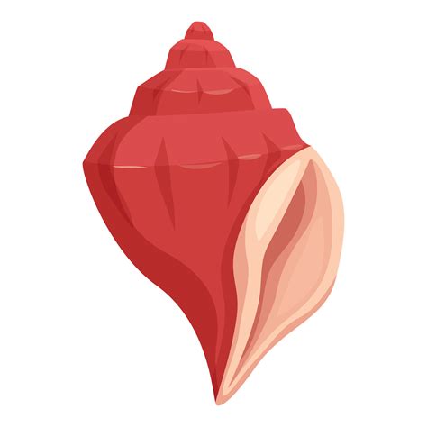 Conch Shell Shape に対する画像結果