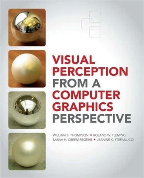 Image result for Visual Perception Graphics