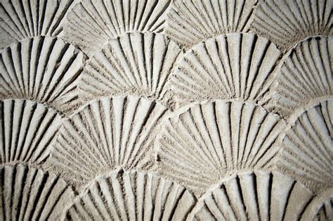 Image result for Shell Texture Print