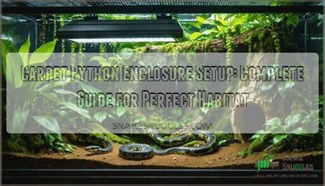 Image result for Carpet Python Setup
