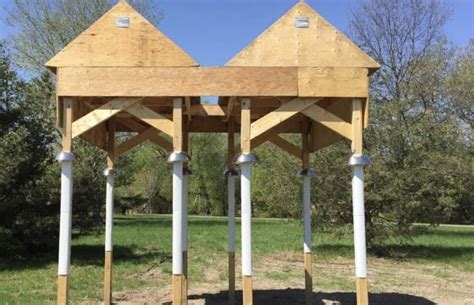 Image result for Nesting Structure