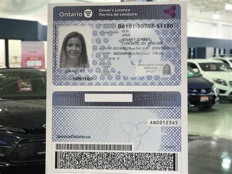 Afbeeldingsresultaten voor Back Drivers License Cards