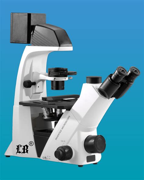 Inverse Microscope に対する画像結果