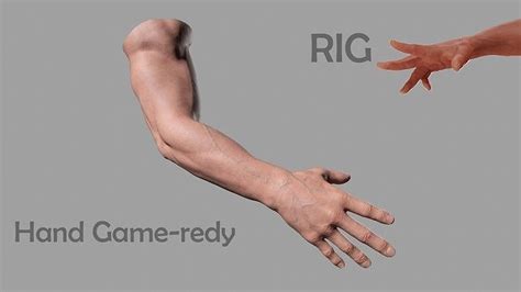 Image result for Arm Models