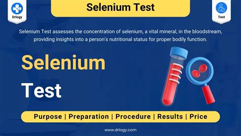Image result for Selenium Testing Screen