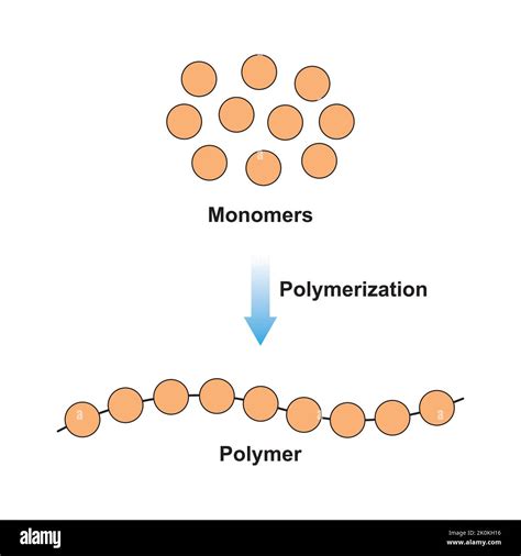 Polymer Blending に対する画像結果
