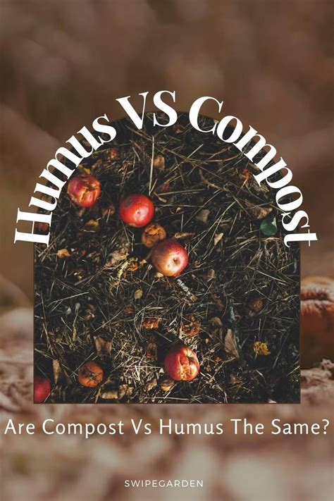 Toradh íomhá ar Humus Rich Compost